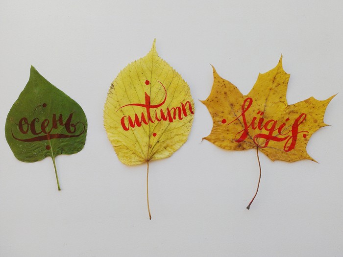 autumn