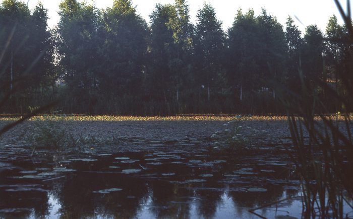 suveõhtu jõe kaldal